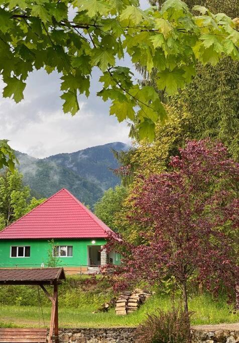 The Green House - Apuseni Mountains Pietroasa  Esterno foto